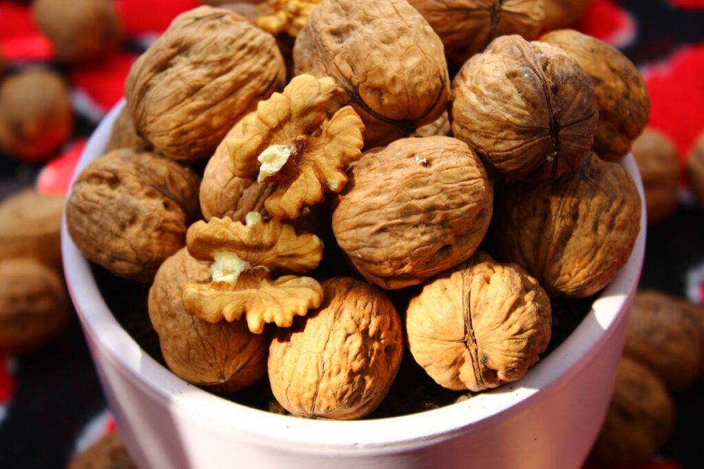 walnuts Omega-3 Fatty Acids